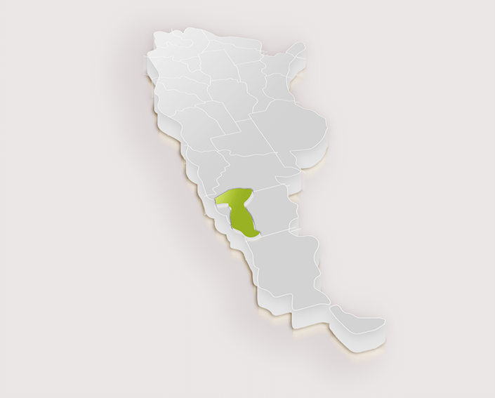 Mendoza