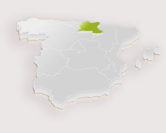 Navarra