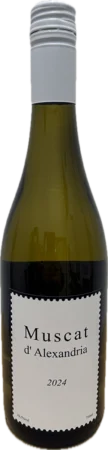 Muscat d’Alexandria 2024